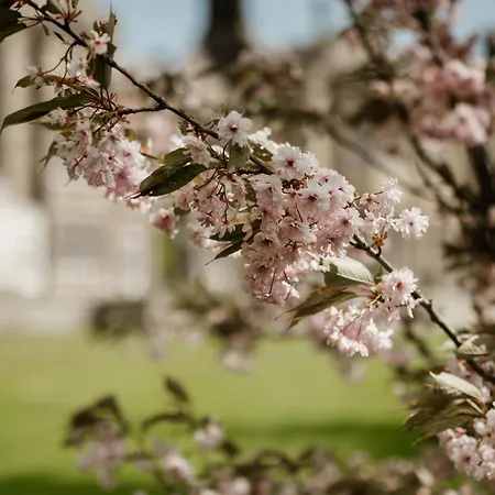 Matfen Hall Hotel And Golf Course - New Spa Opening Soon-3